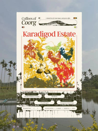 Karadigod Estate, Siddapur by RiverSide Coffee