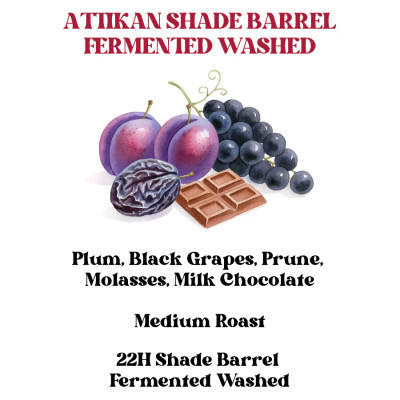 Attikan Shade Barrel Fermented Washed by Rossette Coffee