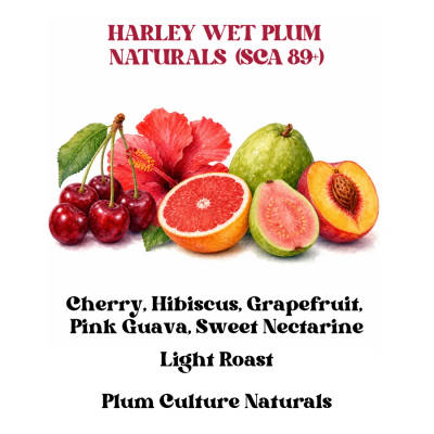 Harley Wet Plum Naturals (SCA 89+) by Rossette Coffee