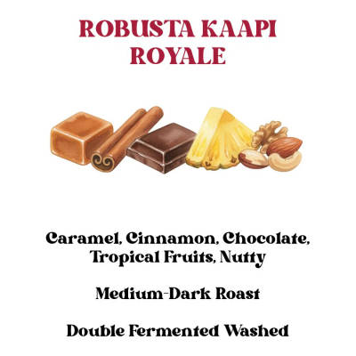 Robusta Kaapi Royale by Rossette Coffee