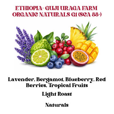 Ethiopia- Guji Uraga Farm Organic Naturals G1 (SCA 88+) by Rossette Coffee
