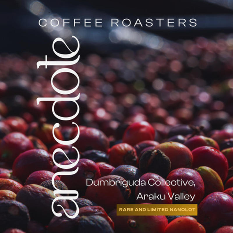 Twilight at Dumbriguda — Light roast Arabica coffee from Araku Valley