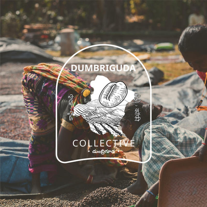 Twilight at Dumbriguda — Light roast Arabica coffee from Araku Valley