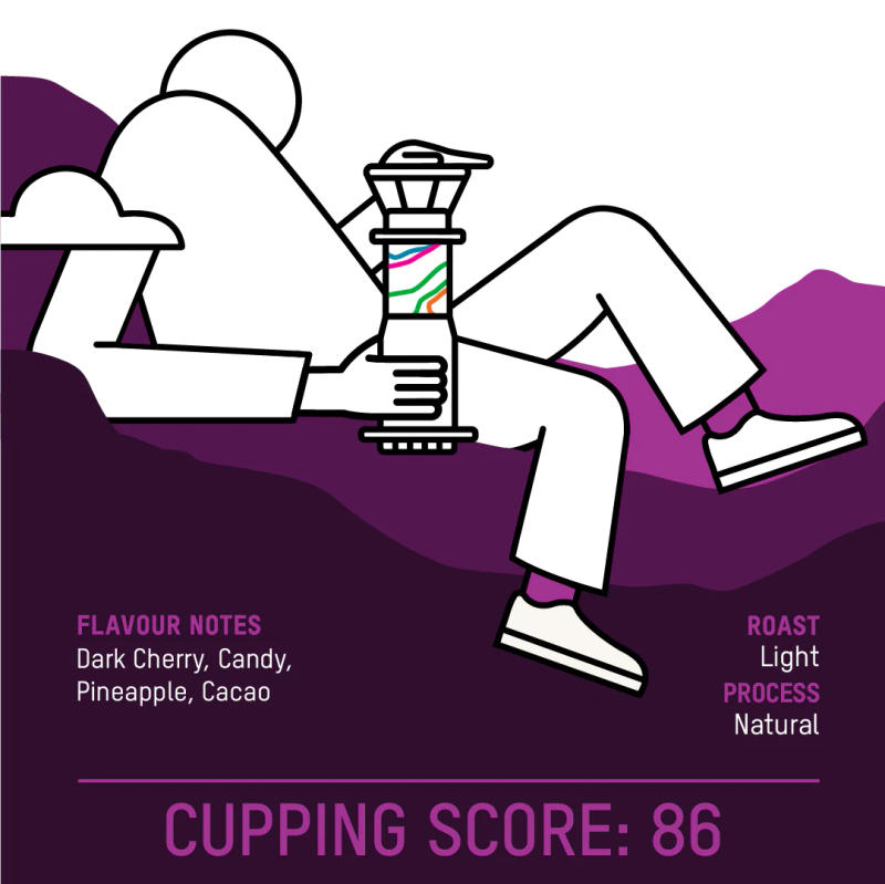 Microlot 05.24 — light roast Arabica coffee from Araku Valley, Andhra Pradesh