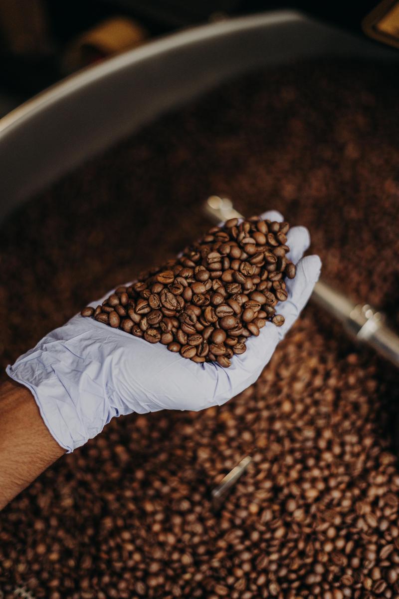 Blend Jal / ಬ್ಲೆಂಡ್ ಜಲ / ब्लेंड जल — medium_dark roast Blend coffee from Bababudangiri