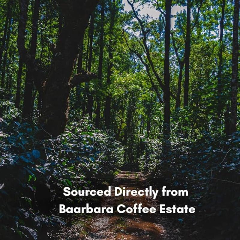 Intenso Fermentation Roasted Coffee Beans — light roast Arabica coffee from Bababudangiri