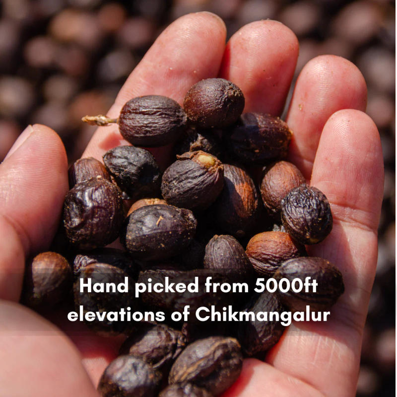 Intenso Fermentation Green Beans — light roast Arabica coffee from Bababudangiri