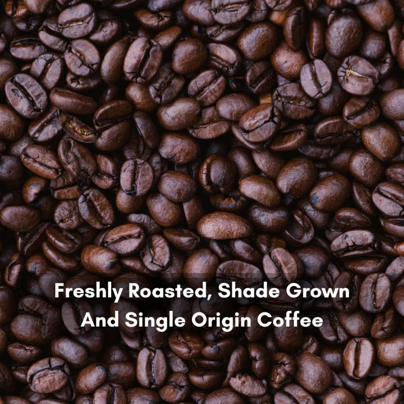 Intenso Fermentation Green Beans — light roast Arabica coffee from Bababudangiri