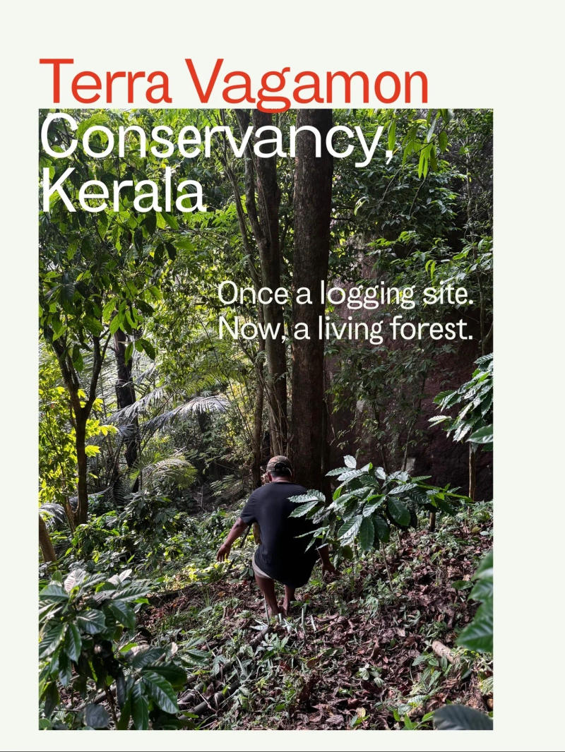 Terravagamon Excelsa Anoxic Naturals (Kerala Excelsa) — Medium Roast roast Excelsa coffee from Kerala