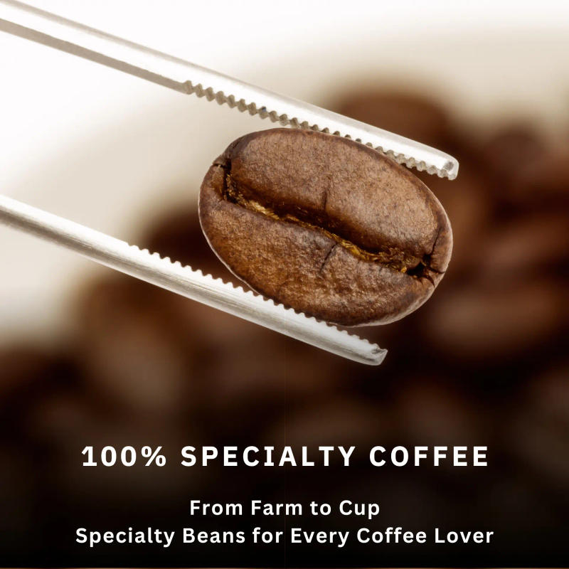 Mysore Nuggets — Medium-Dark roast Arabica coffee