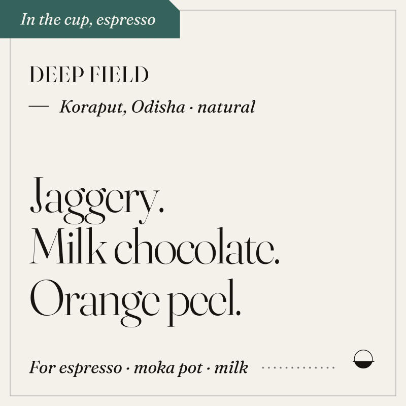 Deep Field — roasted medium light roast Arabica coffee from Koraput, Odisha