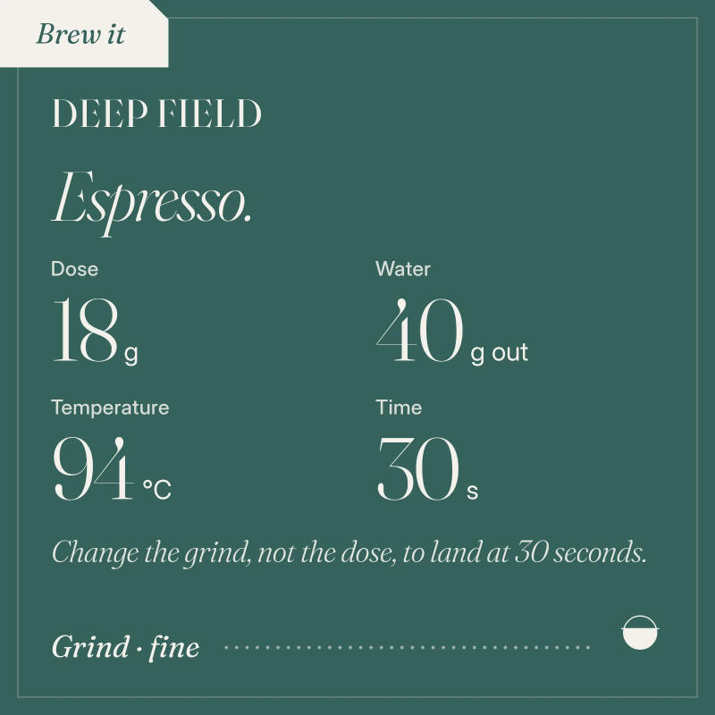 Deep Field — roasted medium light roast Arabica coffee from Koraput, Odisha