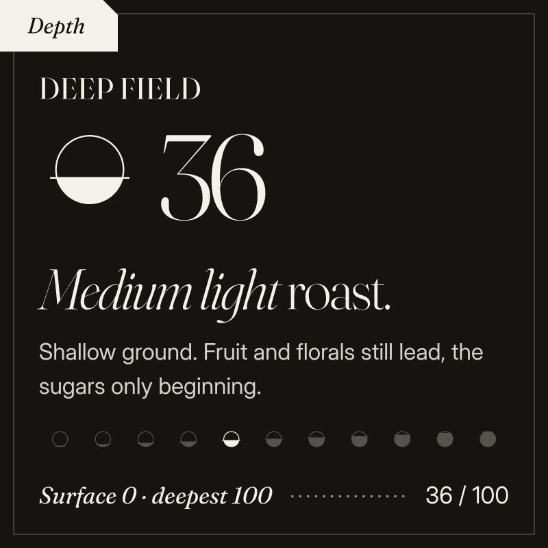Deep Field — roasted medium light roast Arabica coffee from Koraput, Odisha