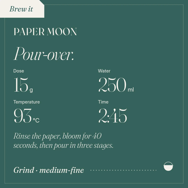 Paper Moon — Depth 36 roast Arabica coffee from Guji