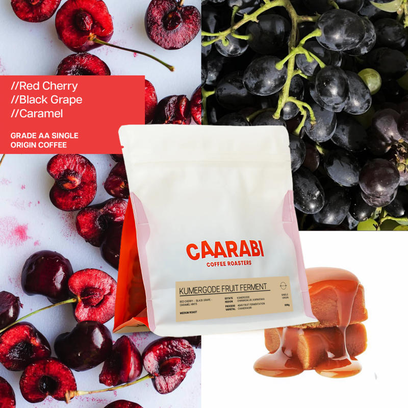 Kumergode Fruit Ferment — Medium Light roast Arabica coffee from Chikmagalur, Karnataka
