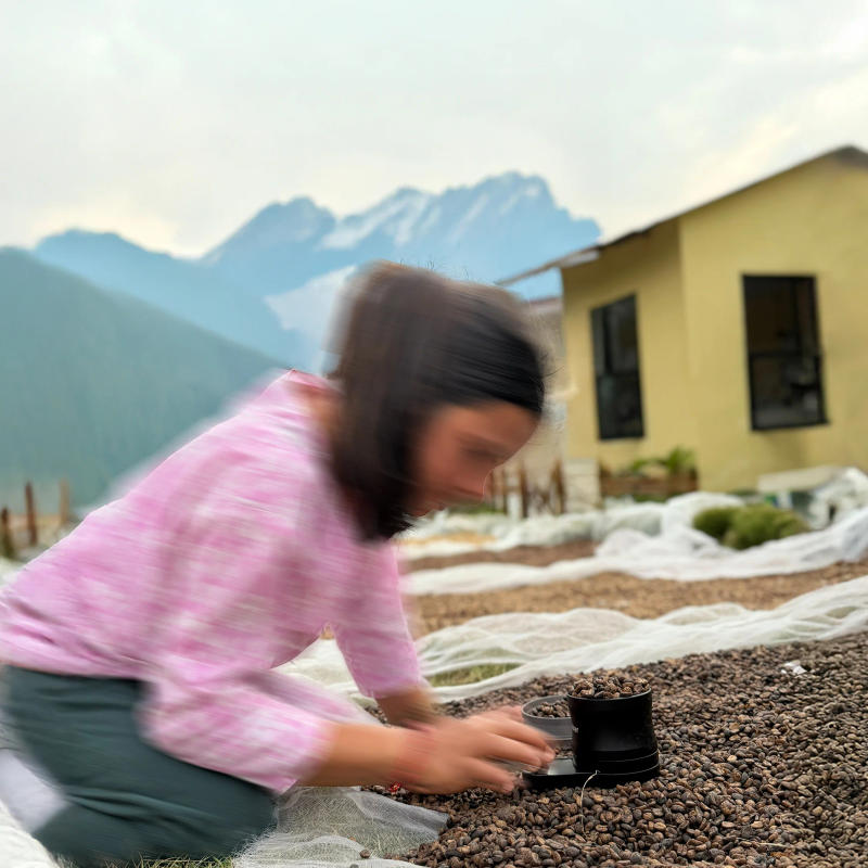 Parbat, Nepal — Medium Roast roast Arabica coffee from Parbat, Nepal