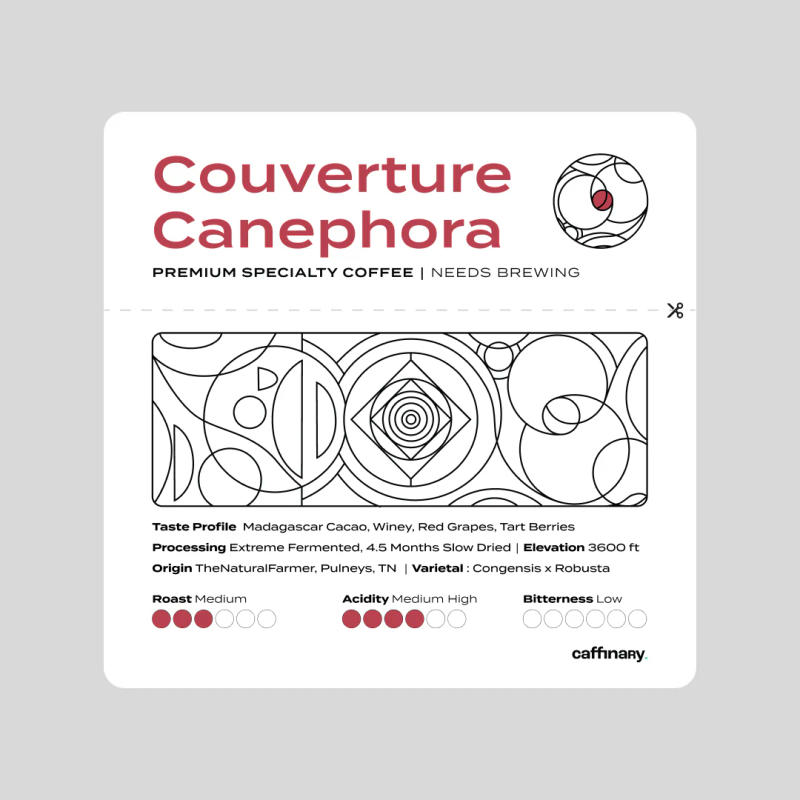 Couverture Canephora - Filter Roast - Pre-Order Now — light roast Robusta coffee from Pulneys, Tamil Nadu