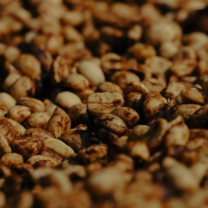 Trousseau Adwaita - Roasted on 22/04 — Light to Medium roast Arabica coffee from Koraput, Odisha