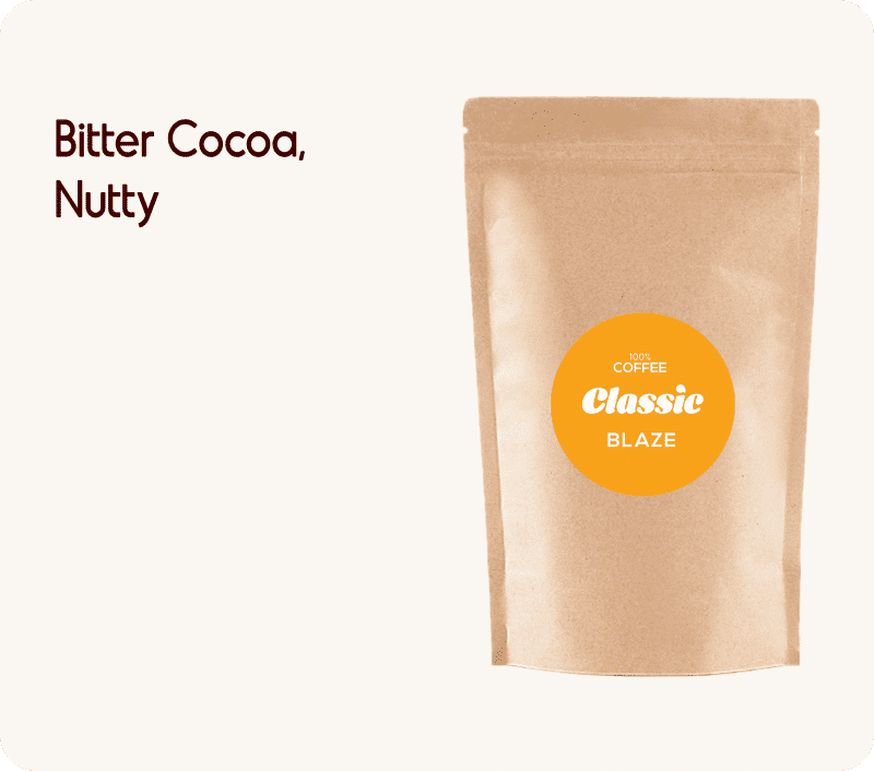 Classic Blaze — medium roast roast Arabica coffee from Bababudangiri, Chikmagalur