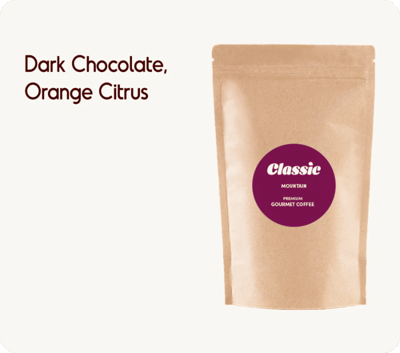 Classic Mountain — medium_dark roast Arabica coffee from Bababudangiri