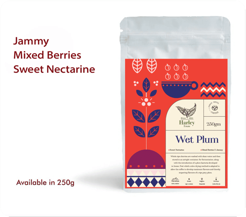 Classic Wet Plum — Light to Medium roast Arabica coffee from Manjarabad