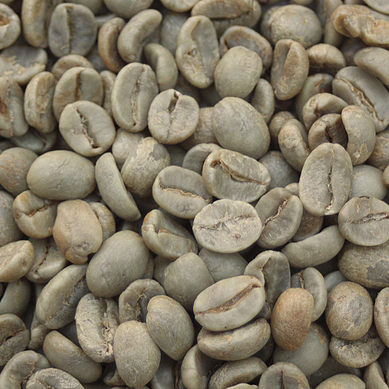 Misty Mountain — Medium roast development brings out the optimal balance between origin character and roasted complexity. roast Arabica coffee from Chikmagalur