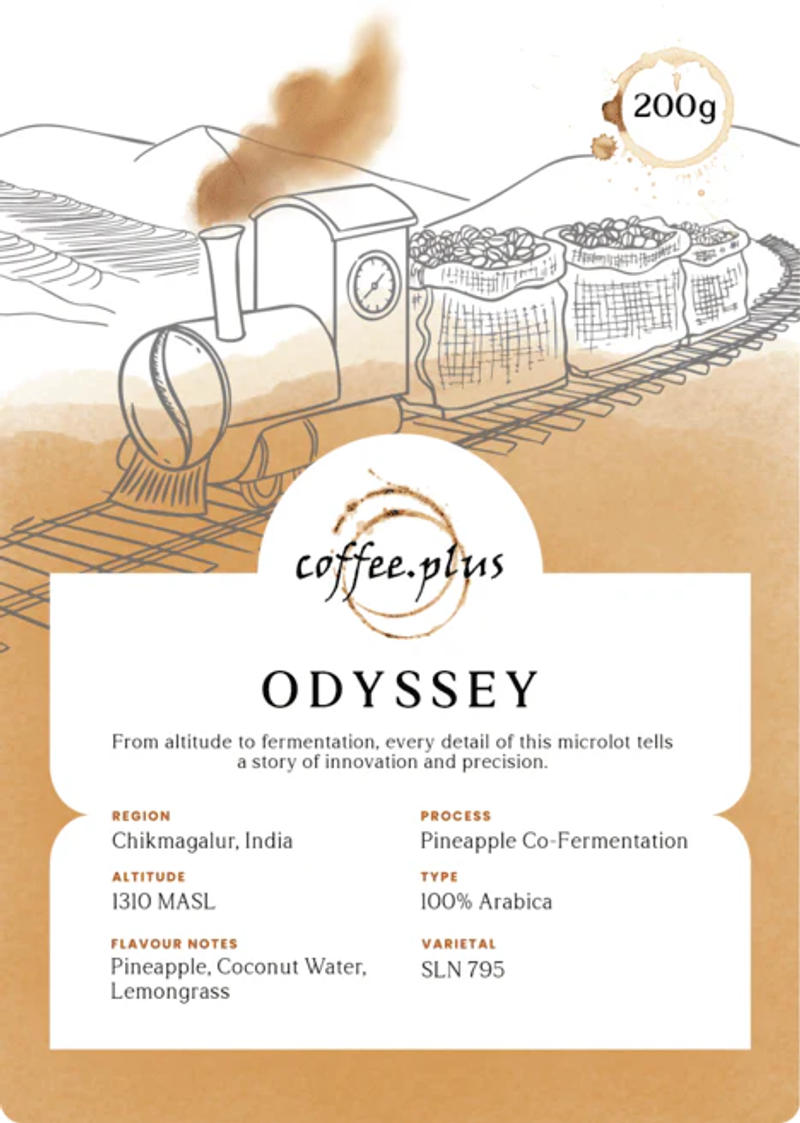 Odyssey — Medium profile roast coffee from India