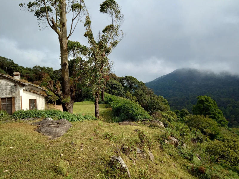 Shire — Medium roast Arabica coffee from Biligirirangan Hills