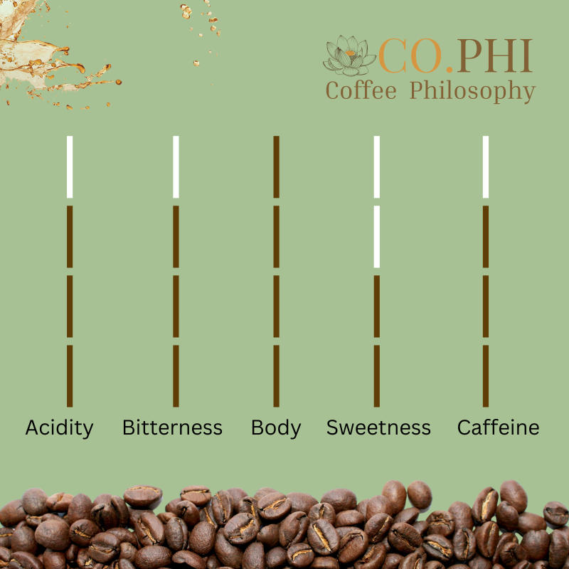 Socrates' Cup — Roast Level roast Blend coffee from Coorg, Karnataka