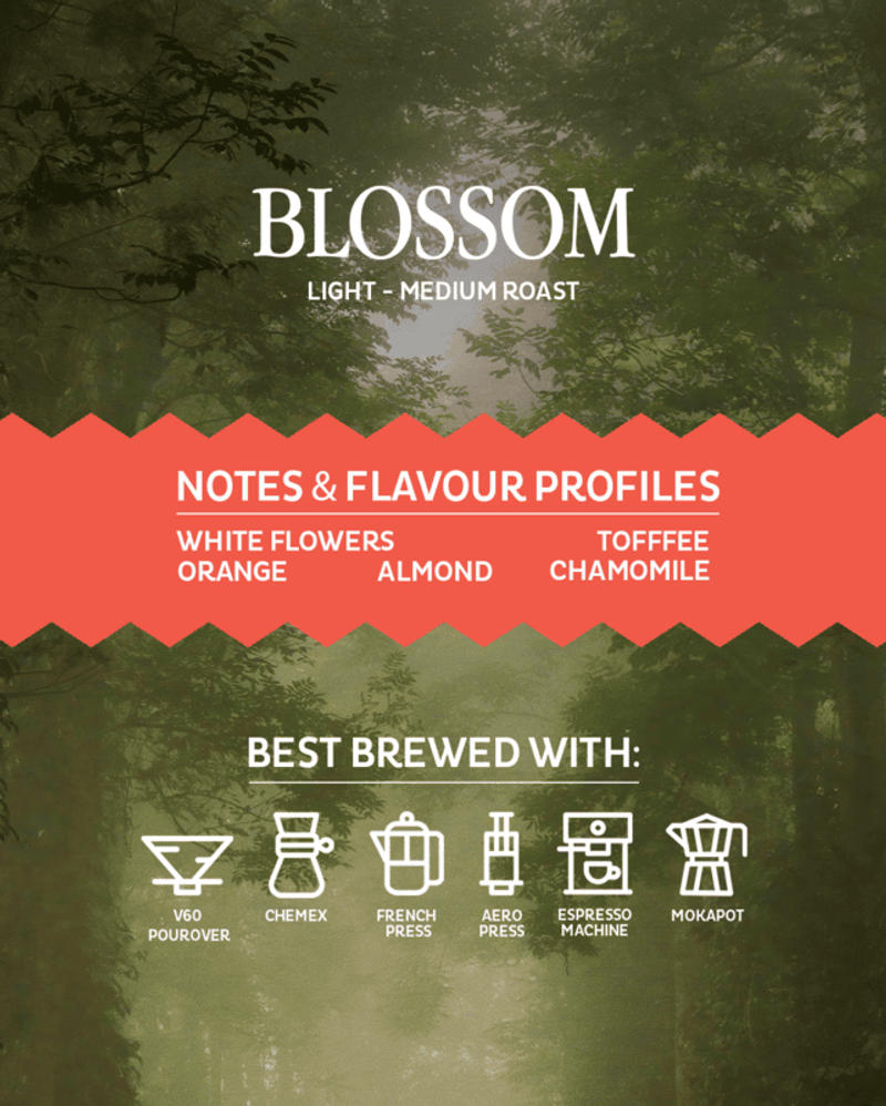 Blossom