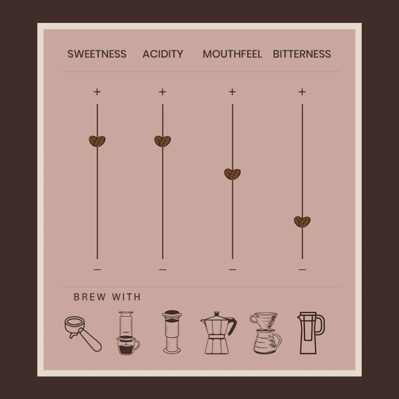 Ratnagiri Washed AA — light-roast roast Arabica coffee from Karnataka
