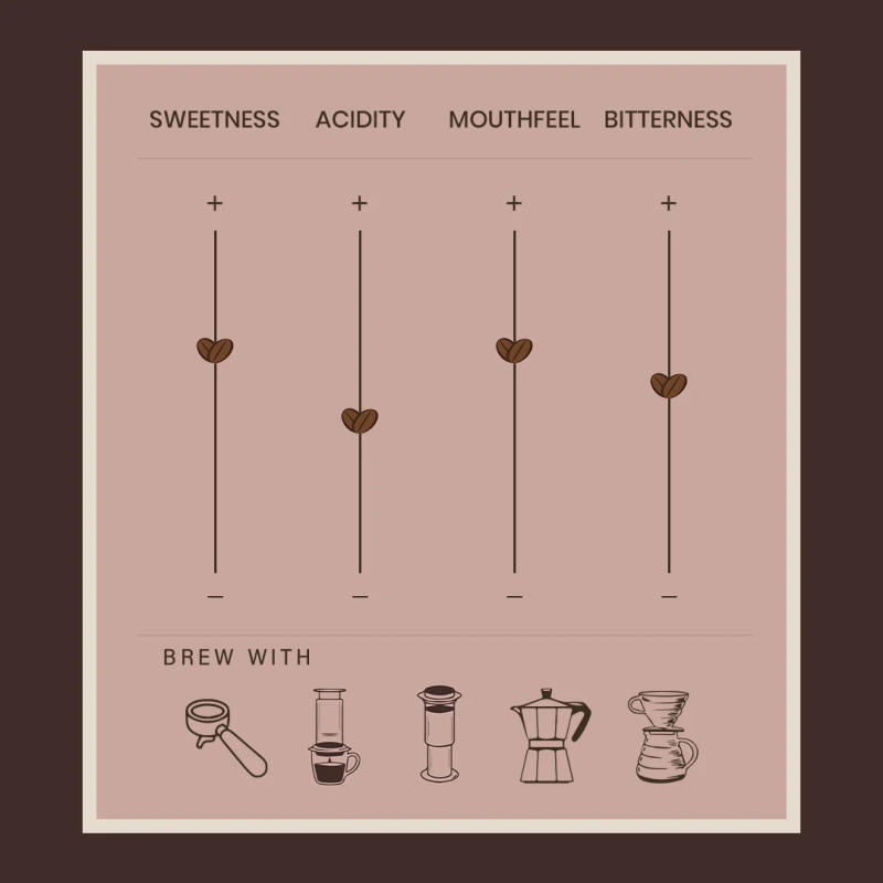 Salawara Fermented Washed — medium dark roast roast Arabica coffee from Karnataka