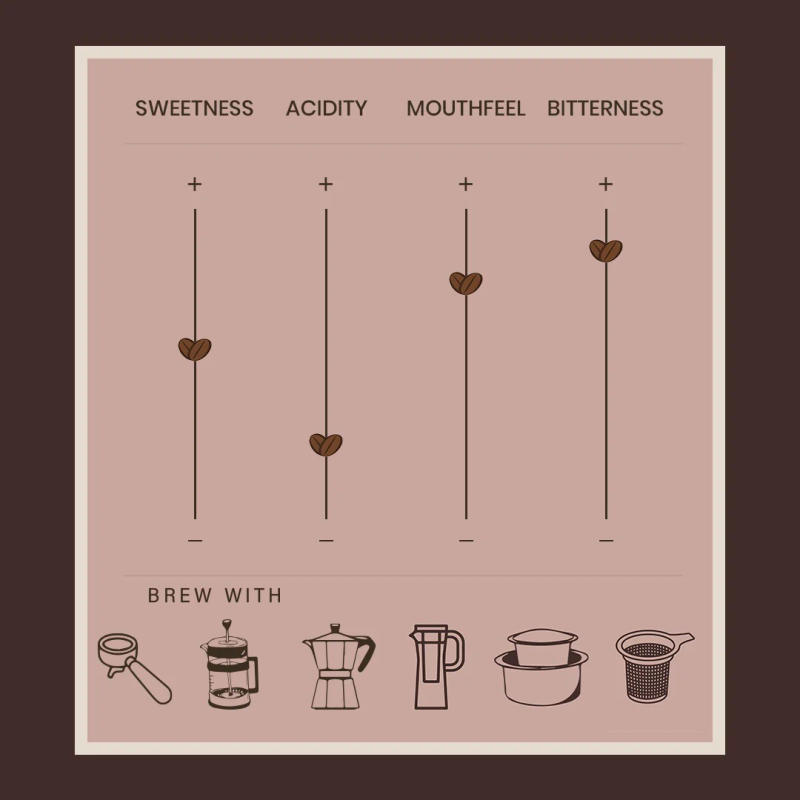 Vienna Roast — medium-roast roast Arabica coffee from Baba Budangiri