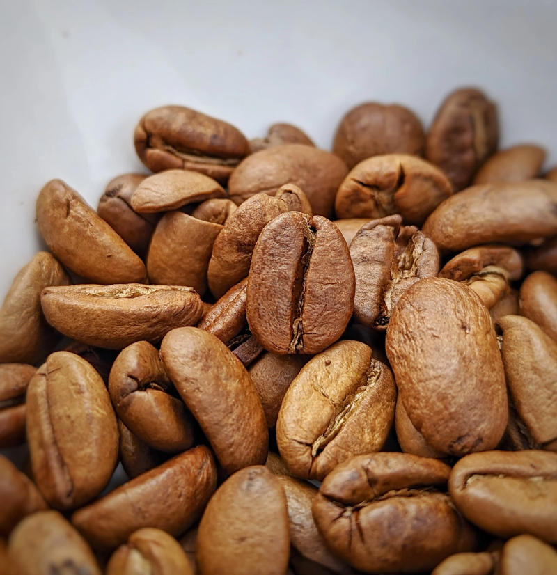 Crimson Spirit - Pineapple Ferment - Kalyancool Estate (In-House) — Light Plus roast Arabica coffee from Chikmagalur