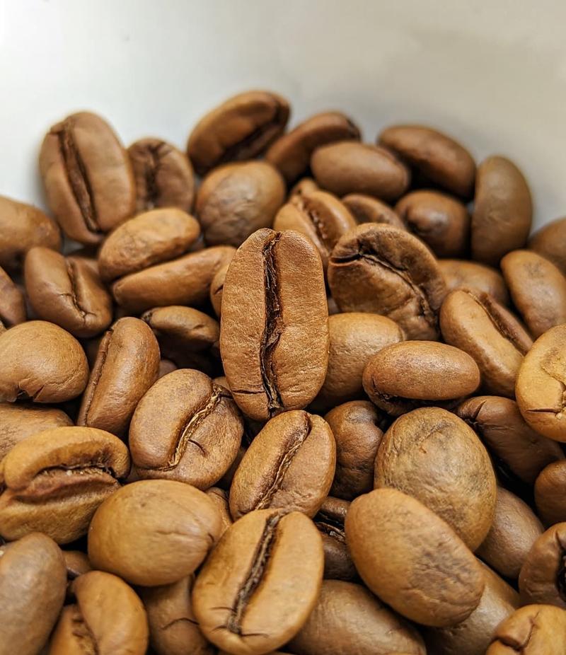 Funk Club — Bale Thota — Light Plus roast Arabica coffee from Aldur, Chikmagalur, Karnataka