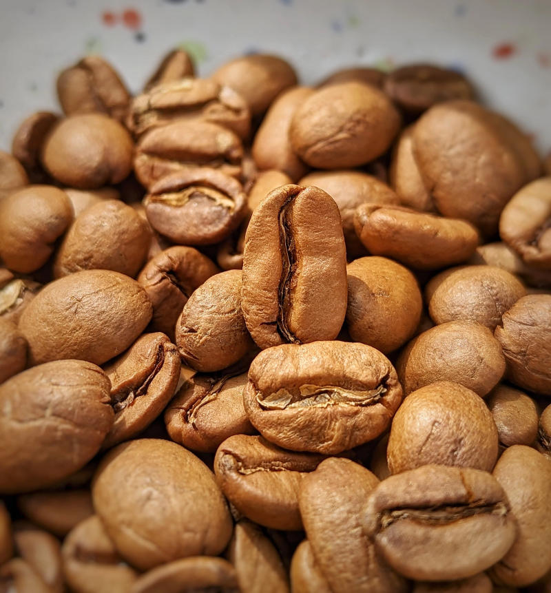 Kardigandi Bright Zest – Naturals - Value — Light Plus roast Arabica coffee from Mudigere