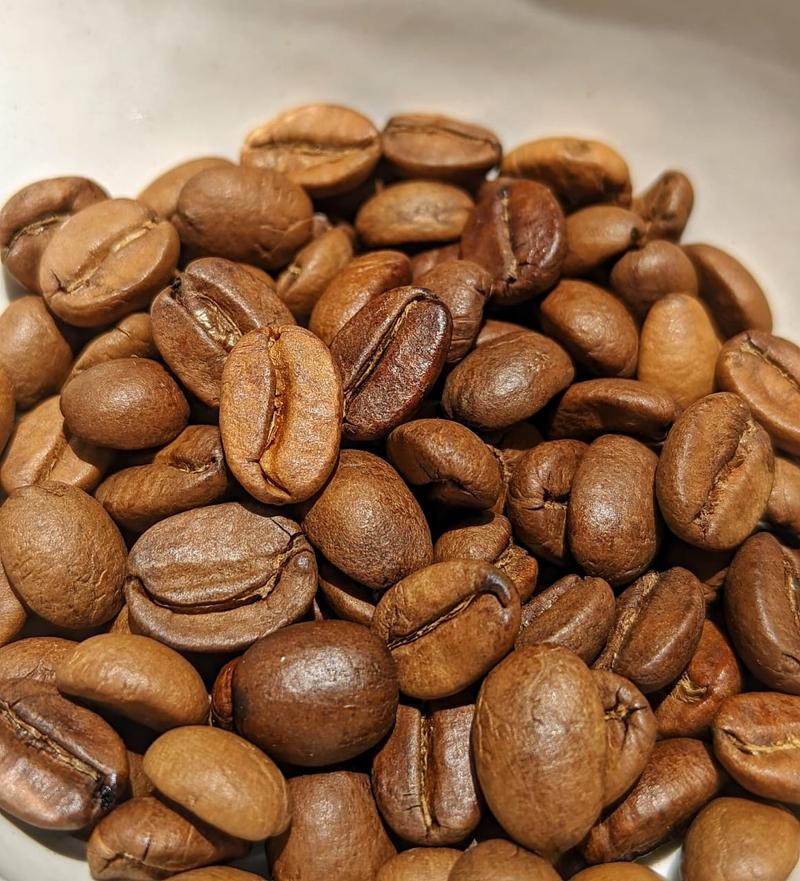 Kalyancool Maharani — Light Plus roast Arabica coffee from Chikmagalur
