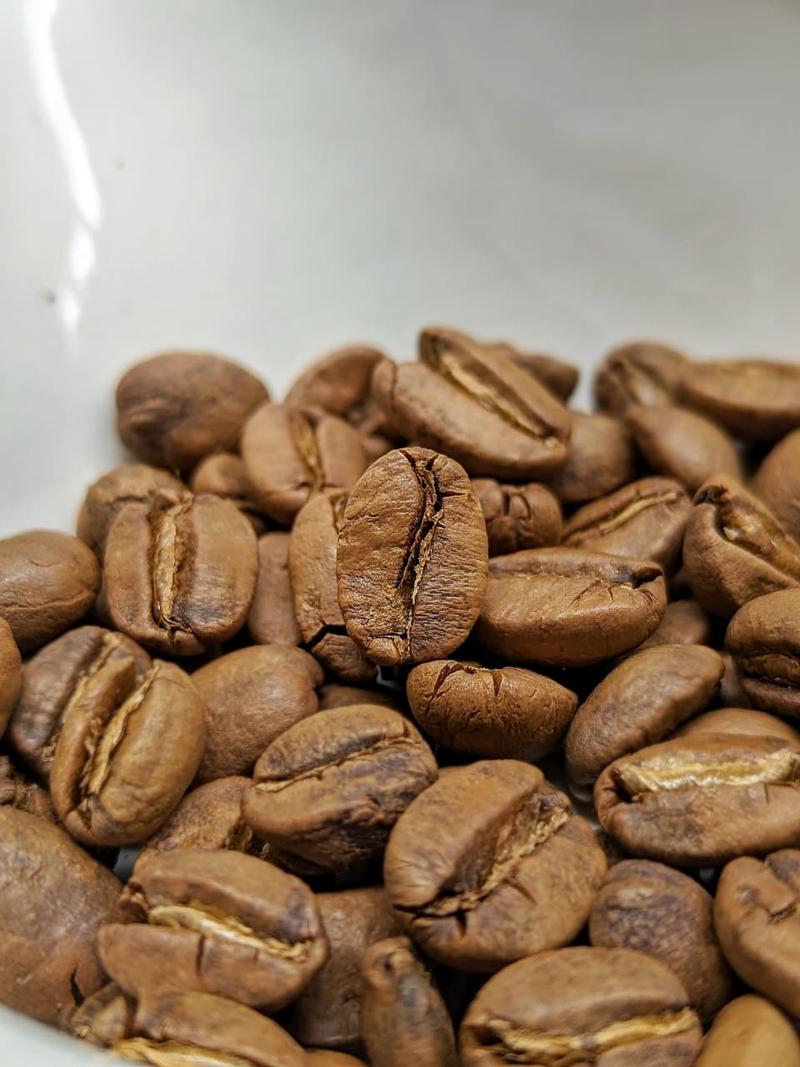 Mosto Magic - Honey Process — Light roast Arabica coffee from Karnataka