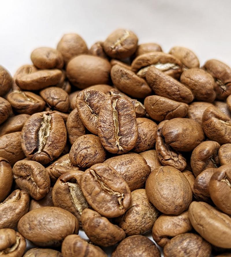 Scarlet Reverie — Light roast Arabica coffee from Chikmagalur