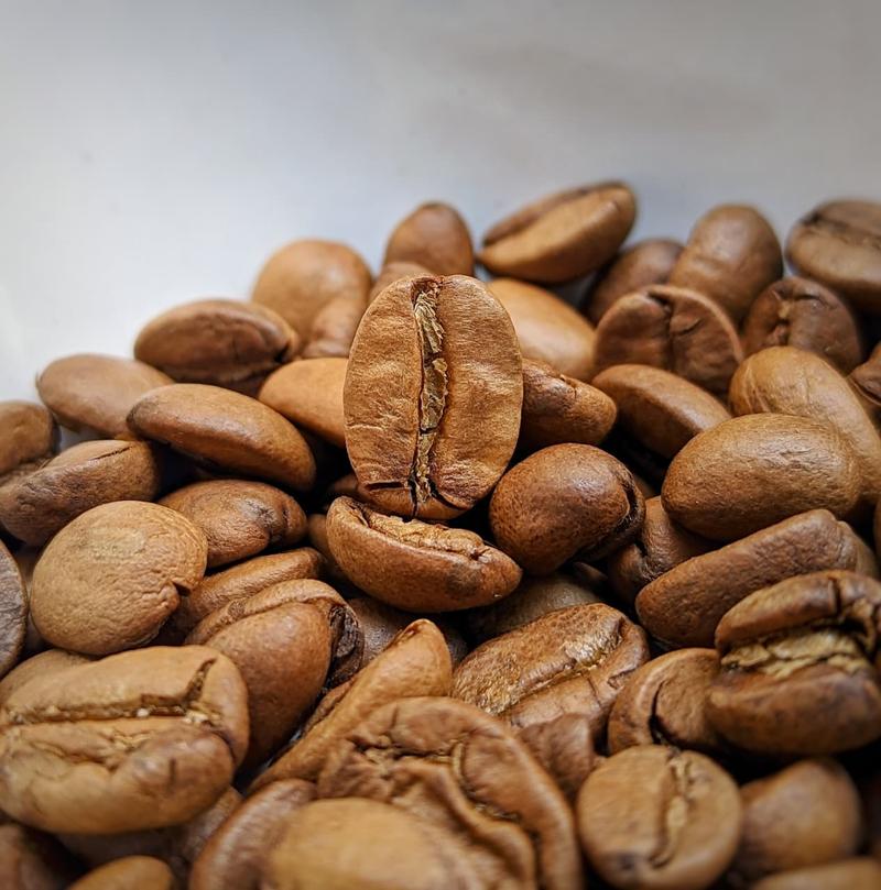 Thermal Shock - Ruby Pulse - Kalyancool Estate (In-House) — Light Plus roast Arabica coffee from Chikmagalur