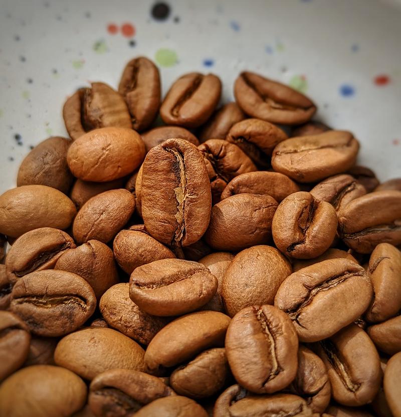 Udayagiri Alpine Selection — Light Plus roast Arabica coffee from Chikmagalur