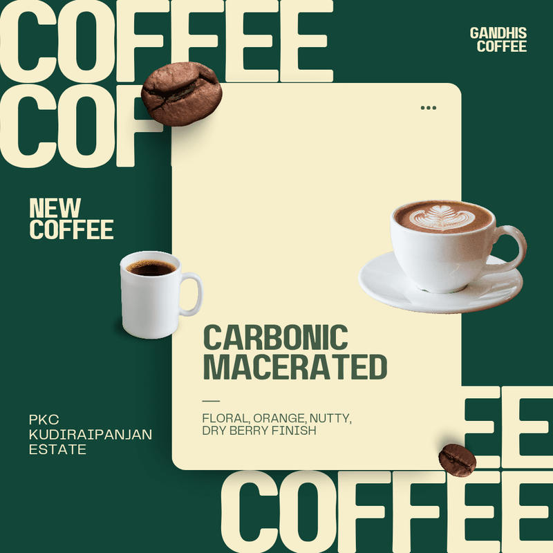 New Coffees_20250226_123944_0001
