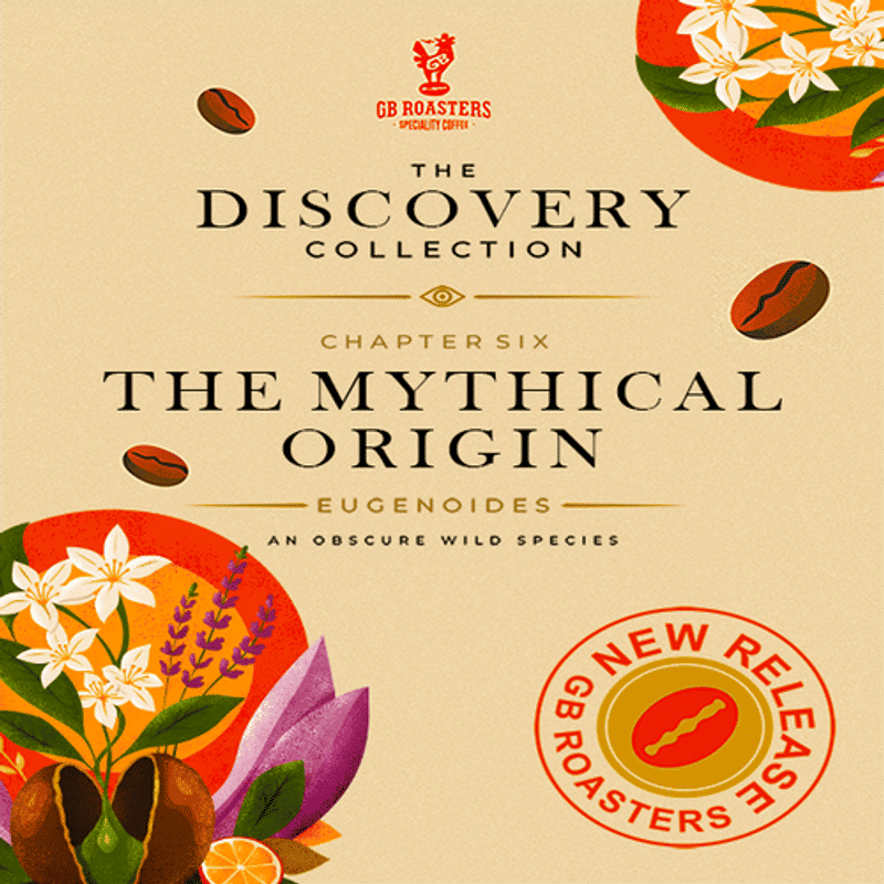 Eugenioides - Wild Species — Arabica coffee from Carmo De Minas