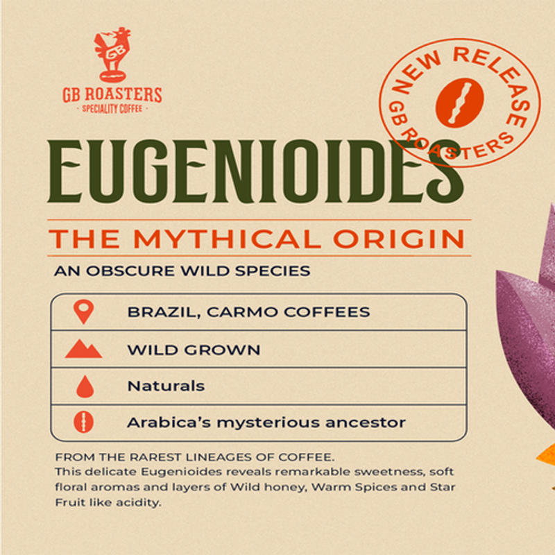 Eugenioides - Wild Species — Arabica coffee from Carmo De Minas