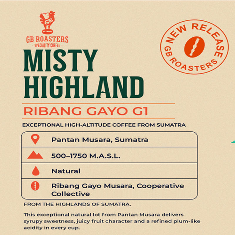 Ribang Gayo Naturals — Arabica coffee from Indonesia