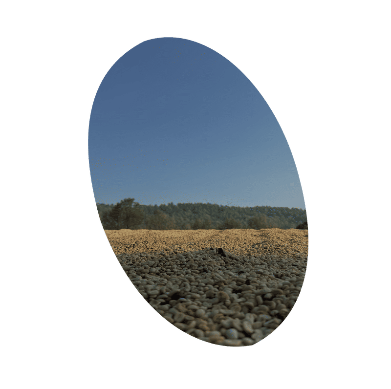 Ratnagiri