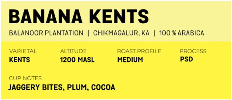 Banana Kents by Balanoor Plantation — Light-Medium roast Arabica coffee from Chikmagalur