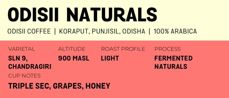 Odisii Naturals — Light roast Arabica coffee from Odisha