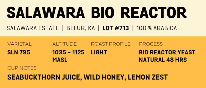 Salawara Bio Reactor — Light roast Arabica coffee from Belur, Karnataka