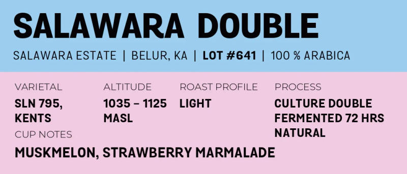 Salawara Double — Light roast Arabica coffee from Belur, Karnataka